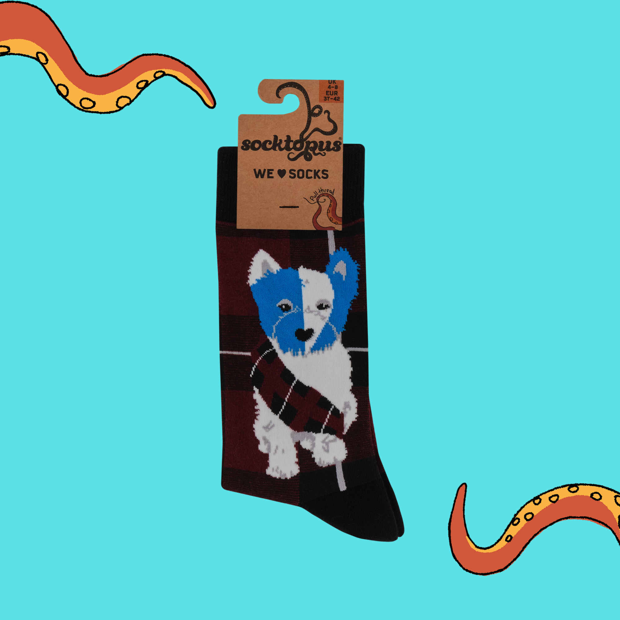 Braveheart Westie Dog Socks