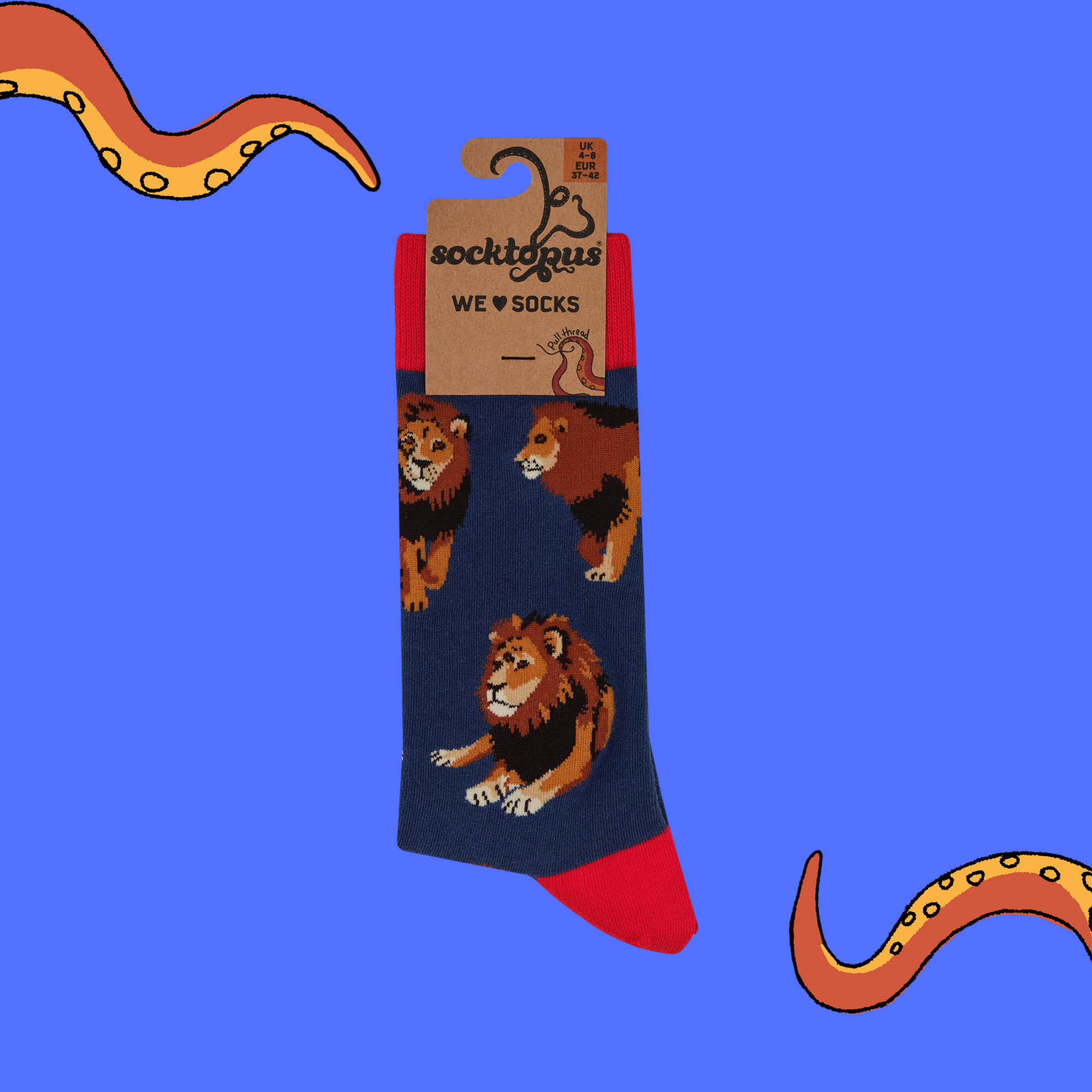 Lion Socks - Pride Of Place