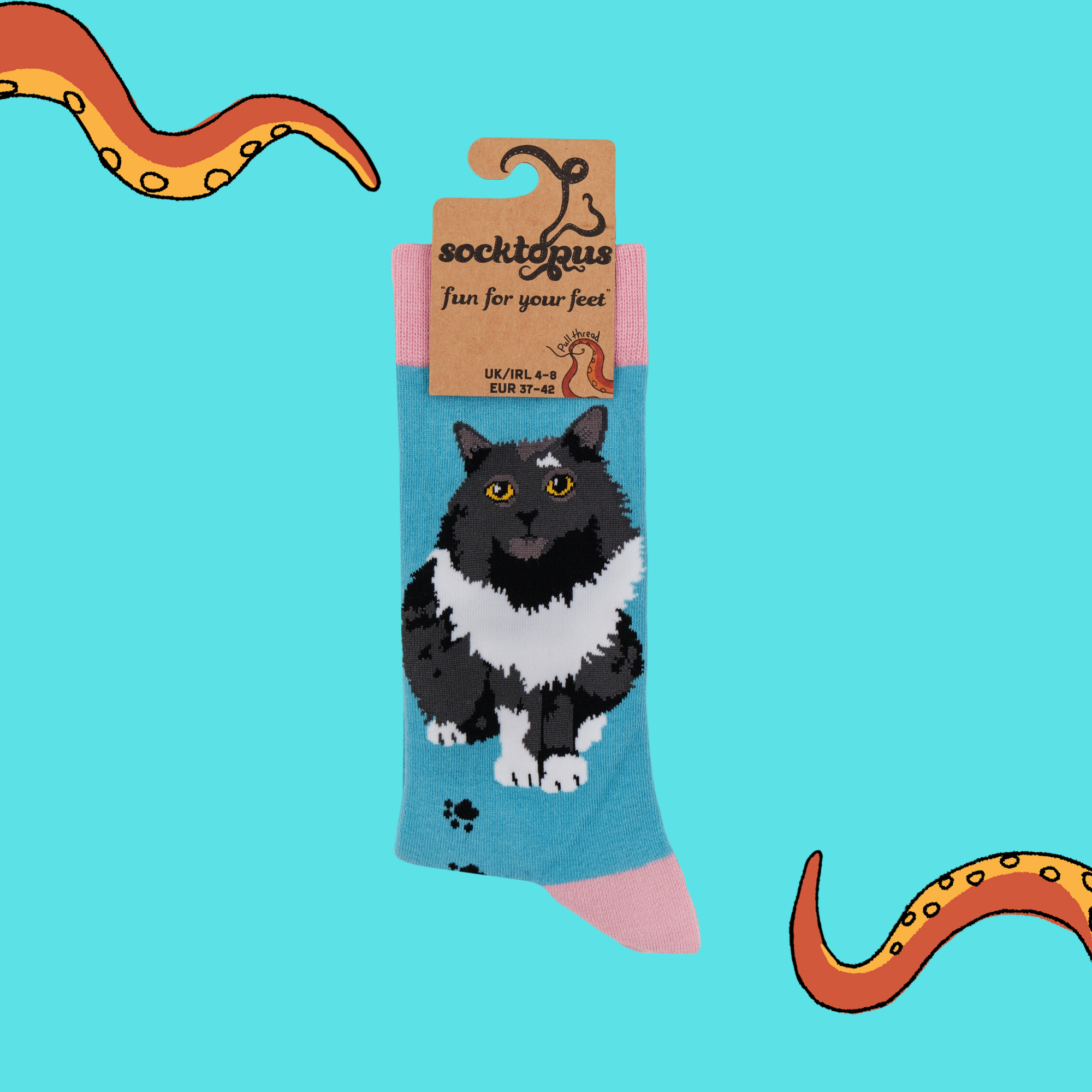 Cat Socks - Pro-Cat-Stinating