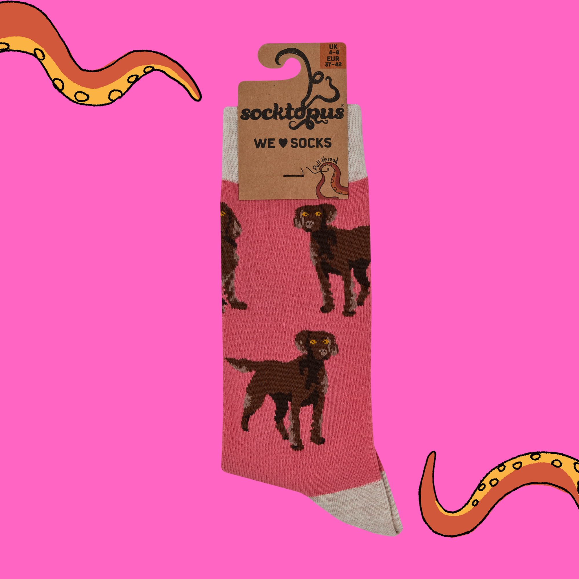Chocolate Spaniel Socks - Span au Chocolat