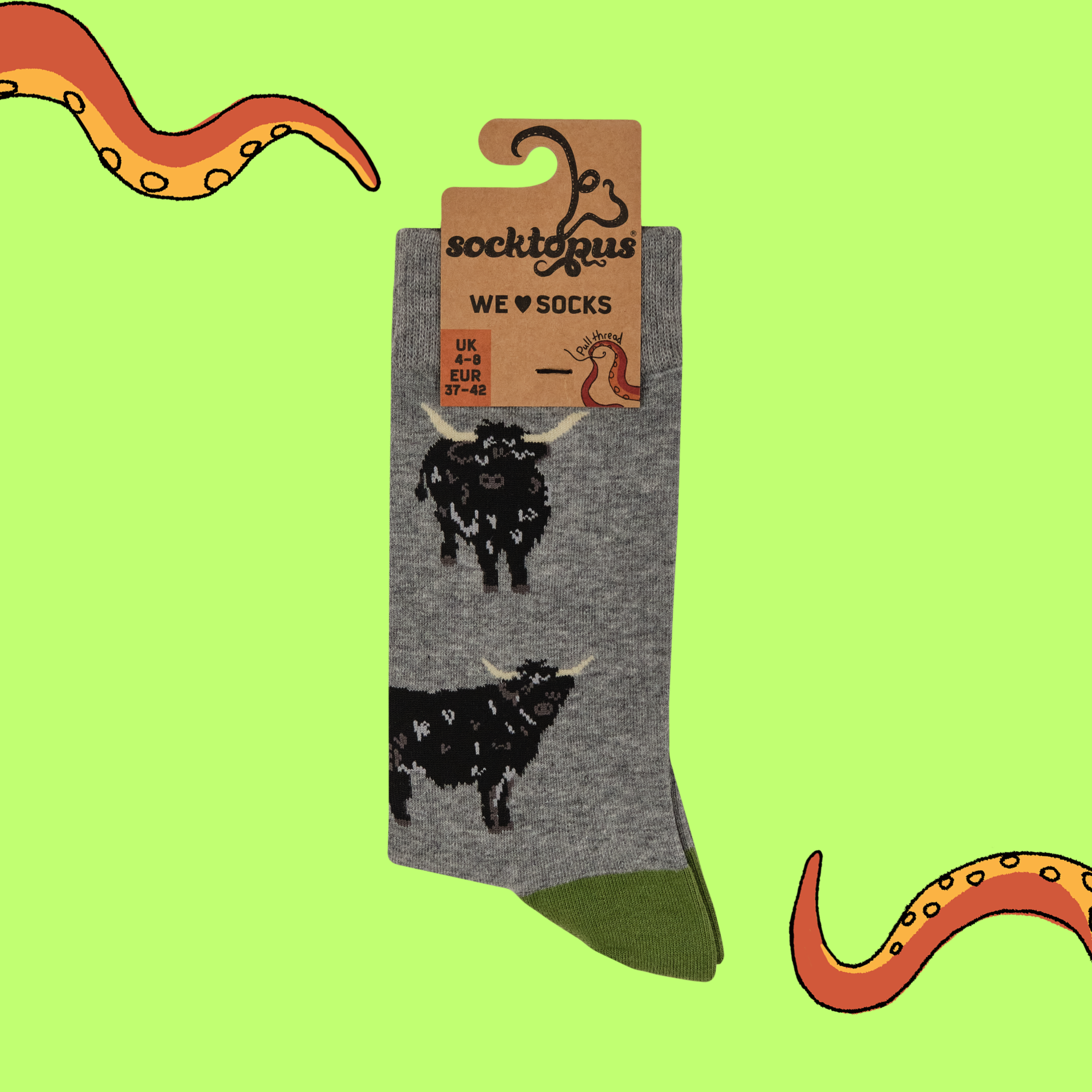 Highland Coo Socks