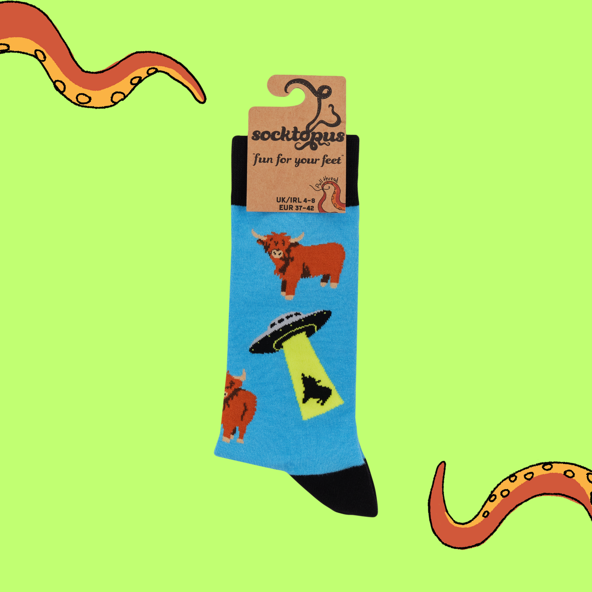 UFO: Unidentified Farm Object Socks