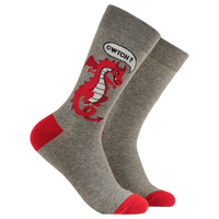 CWTCH? Socks
