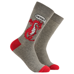 CWTCH? Socks