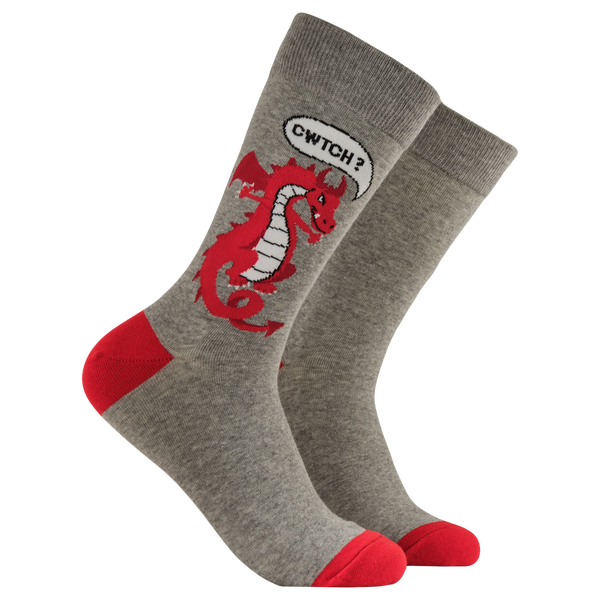 CWTCH? Socks