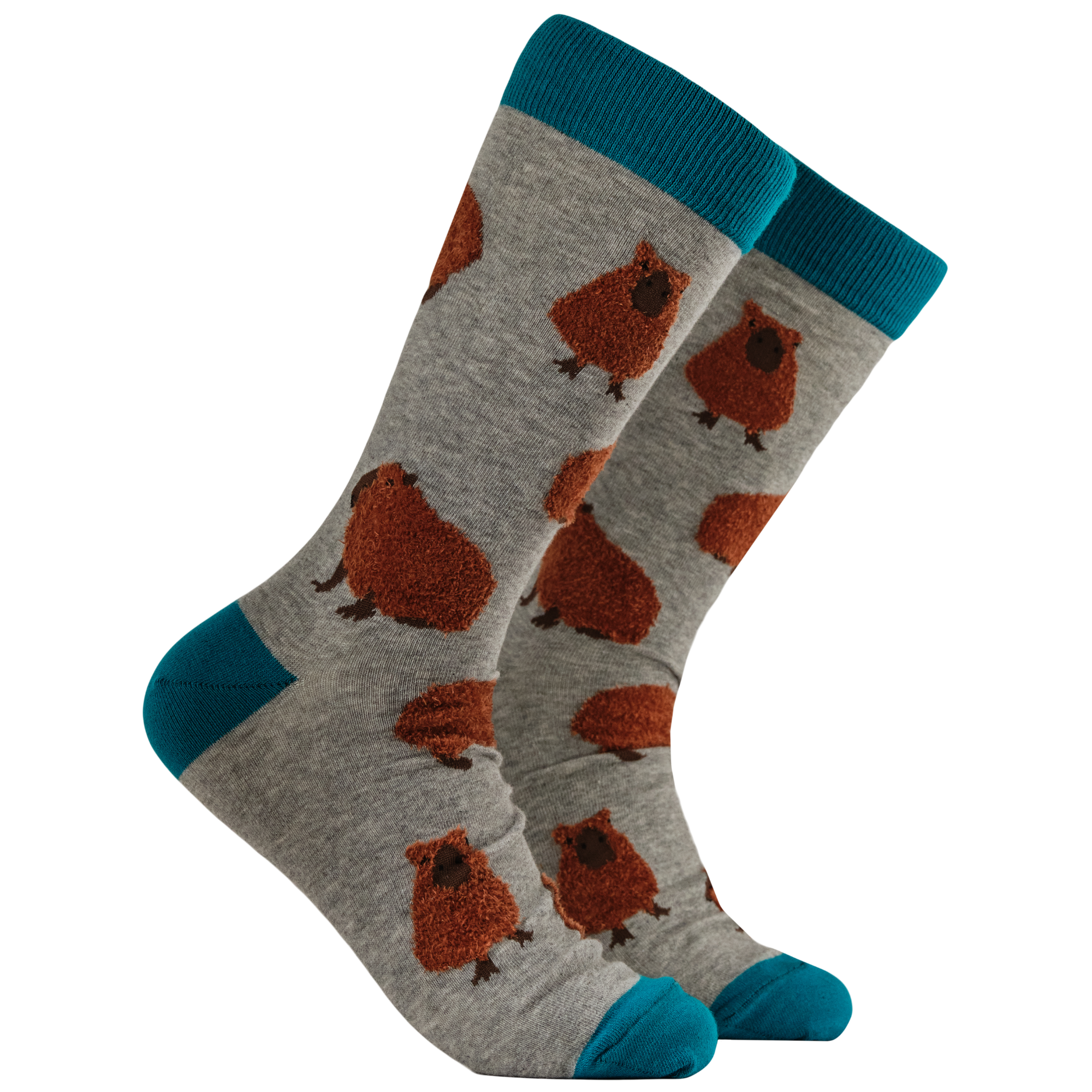 Fluffy Capybara Socks