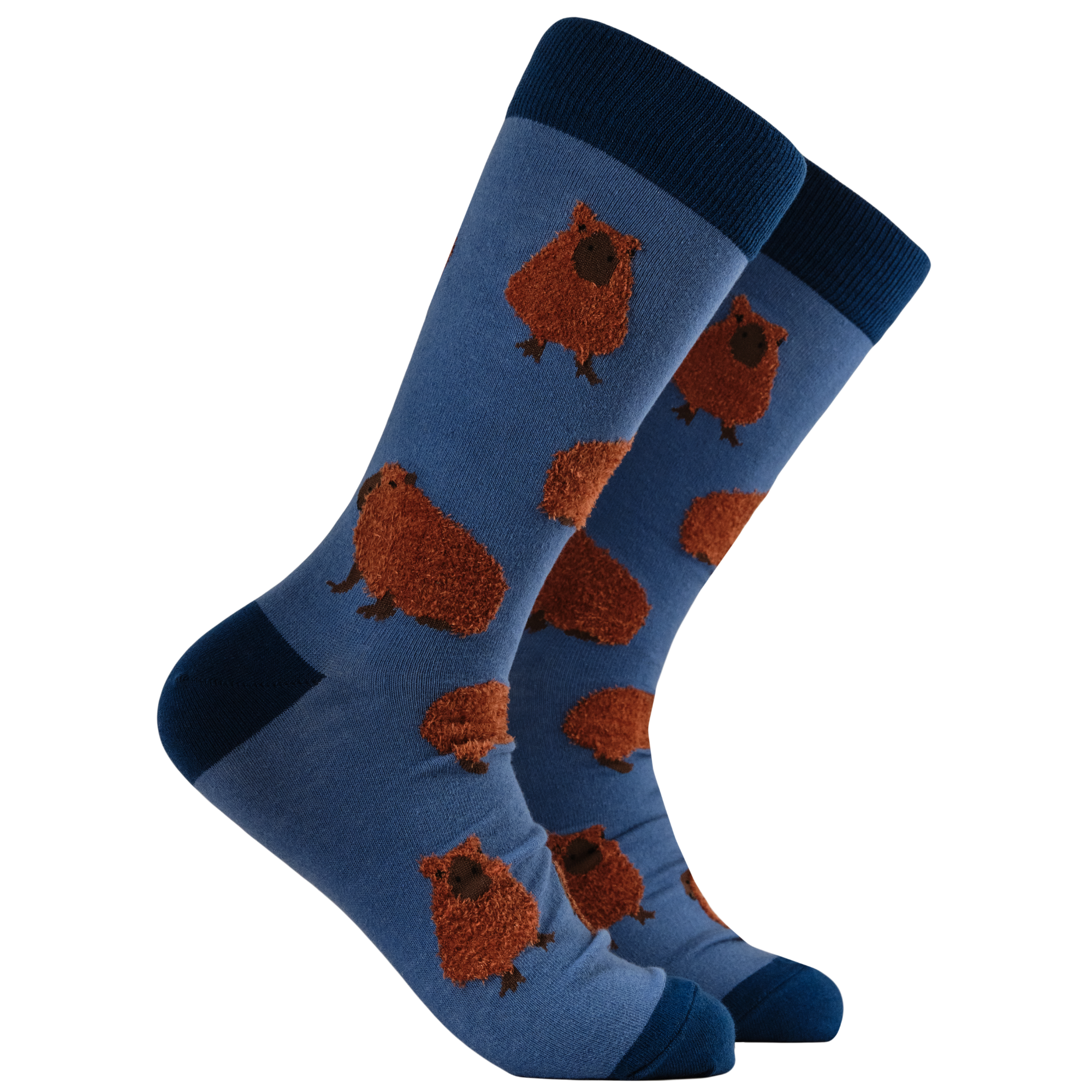 Fluffy Capybara Socks