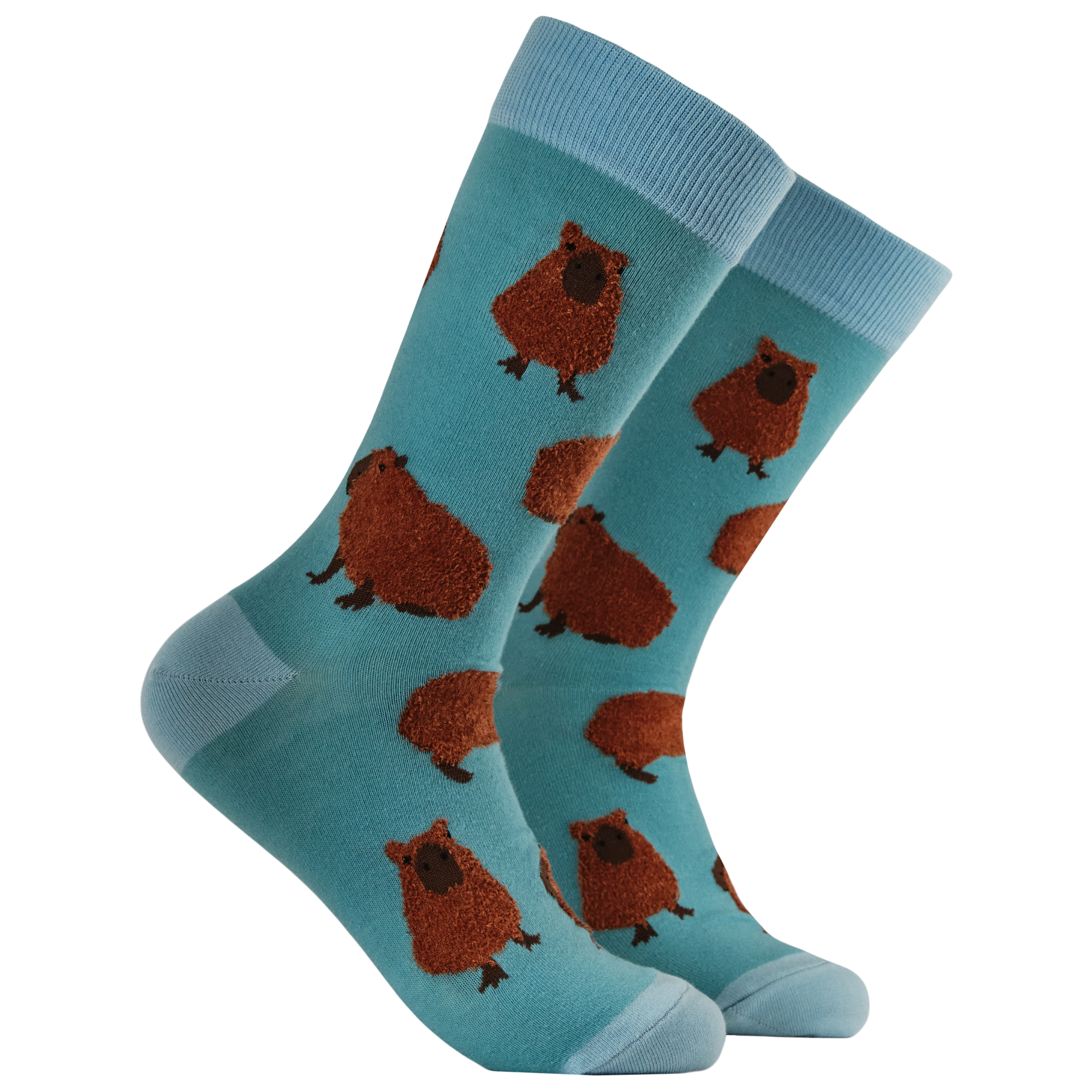 Fluffy Capybara Socks