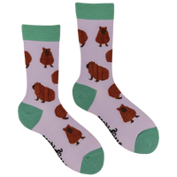 Fluffy Capybara Socks