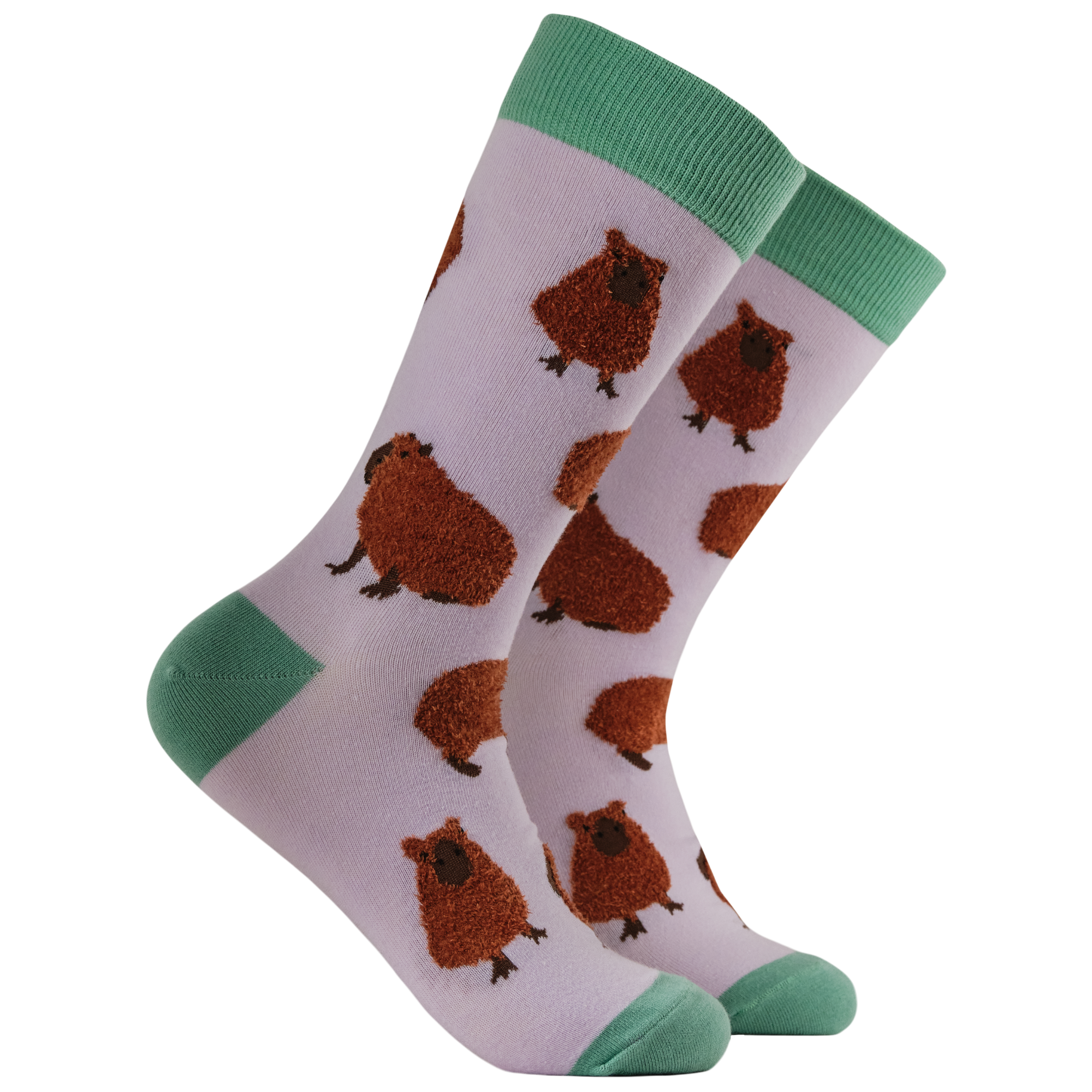 Fluffy Capybara Socks