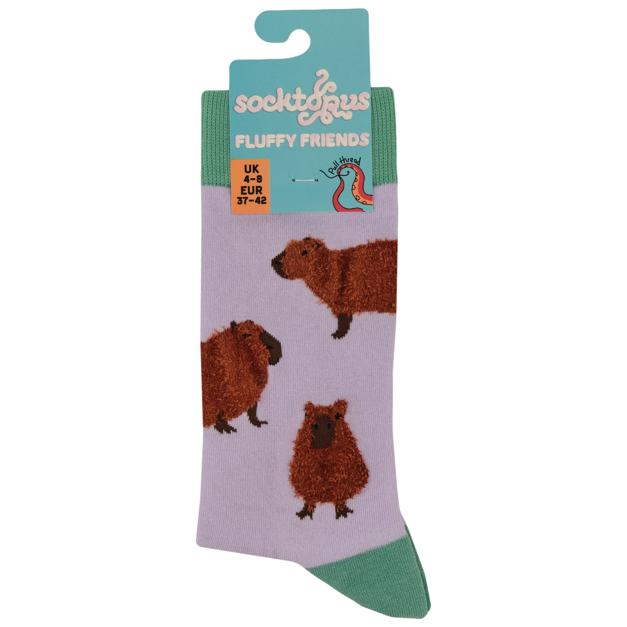 Fluffy Capybara Socks
