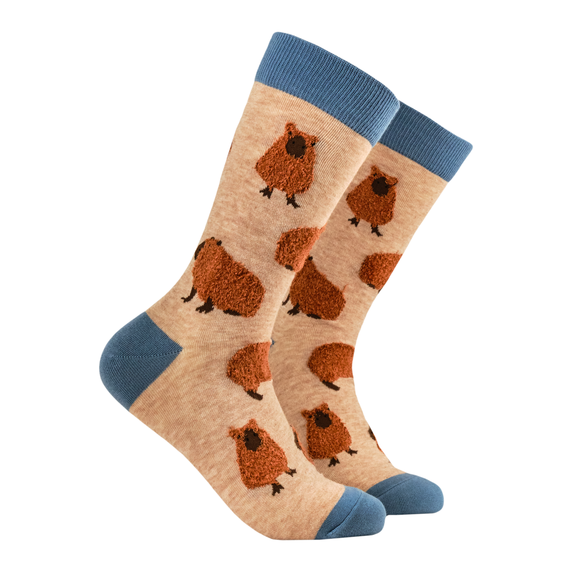 Fluffy Capybara Socks