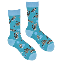Cats and Wool Socks