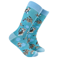 Cats and Wool Socks