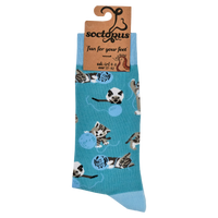 Cats and Wool Socks