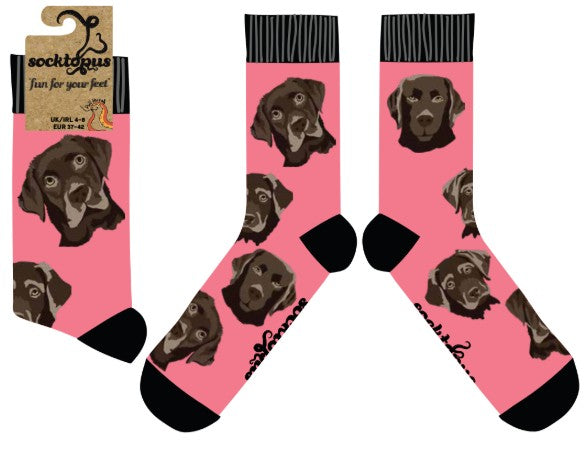 Labrador Socks - Choc Lab