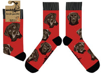 Labrador Socks - Choc Lab