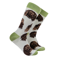 Cocker Spaniel Socks
