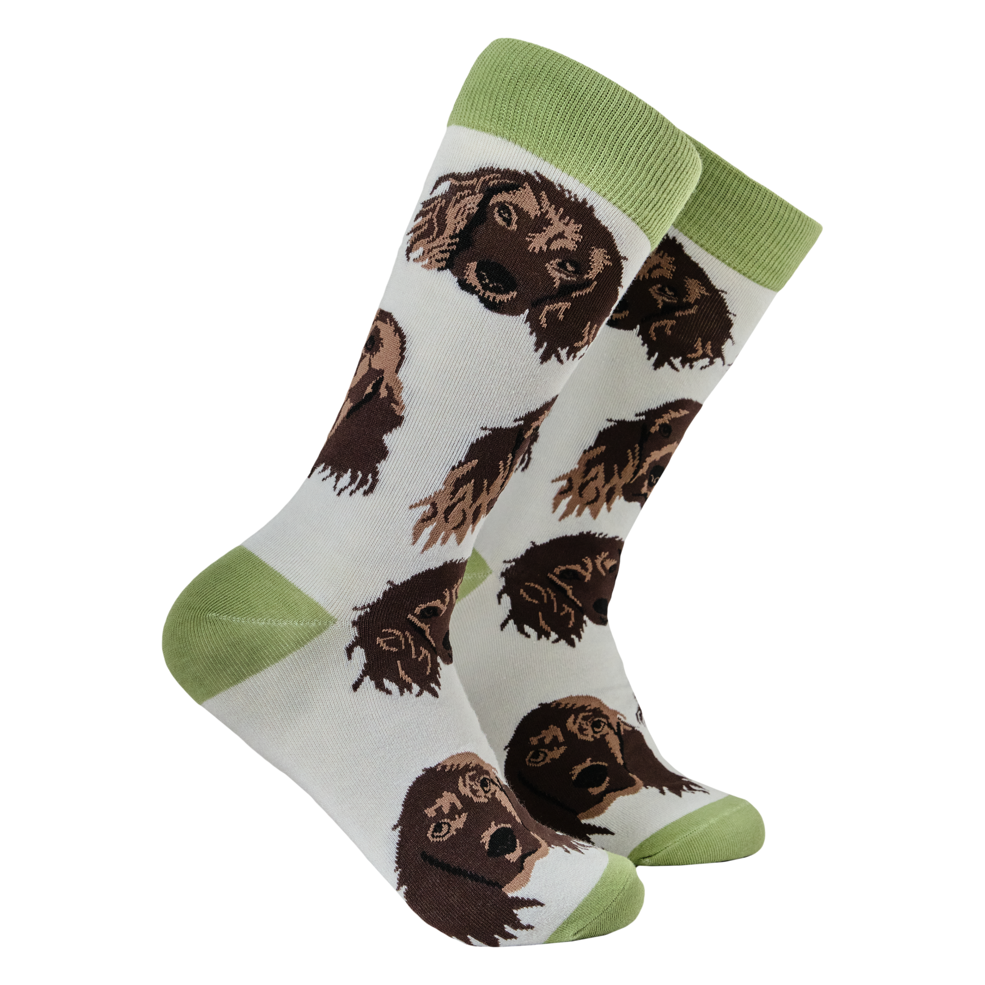 Cocker Spaniel Socks