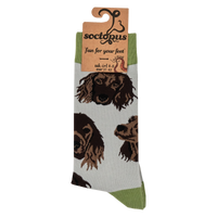 Cocker Spaniel Socks