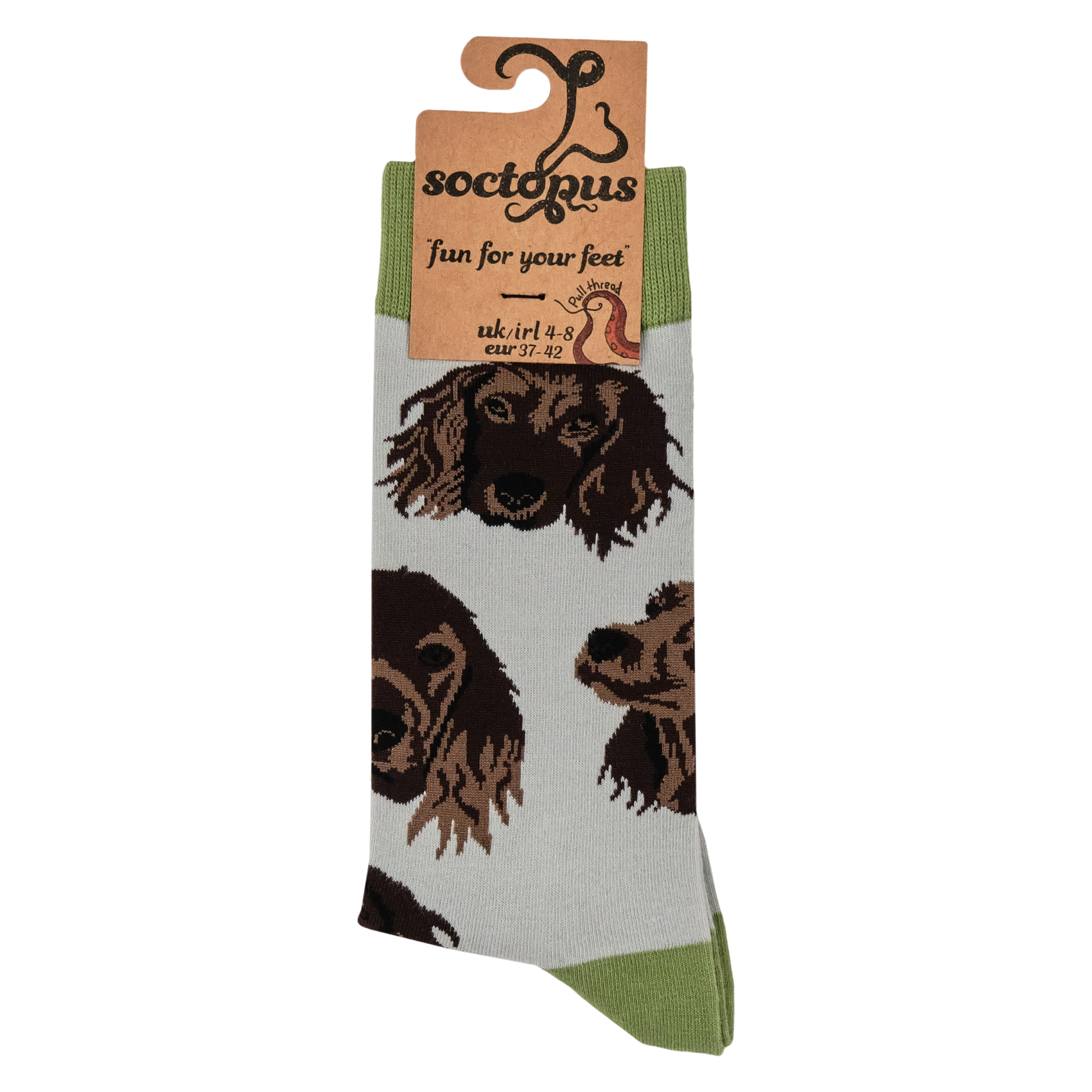 Cocker Spaniel Socks
