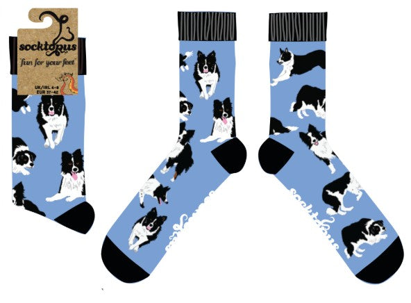 Border Collie Dog Socks - Collies