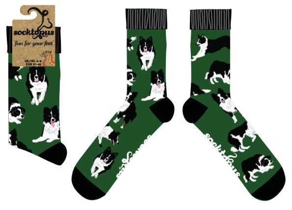 Border Collie Dog Socks - Collies