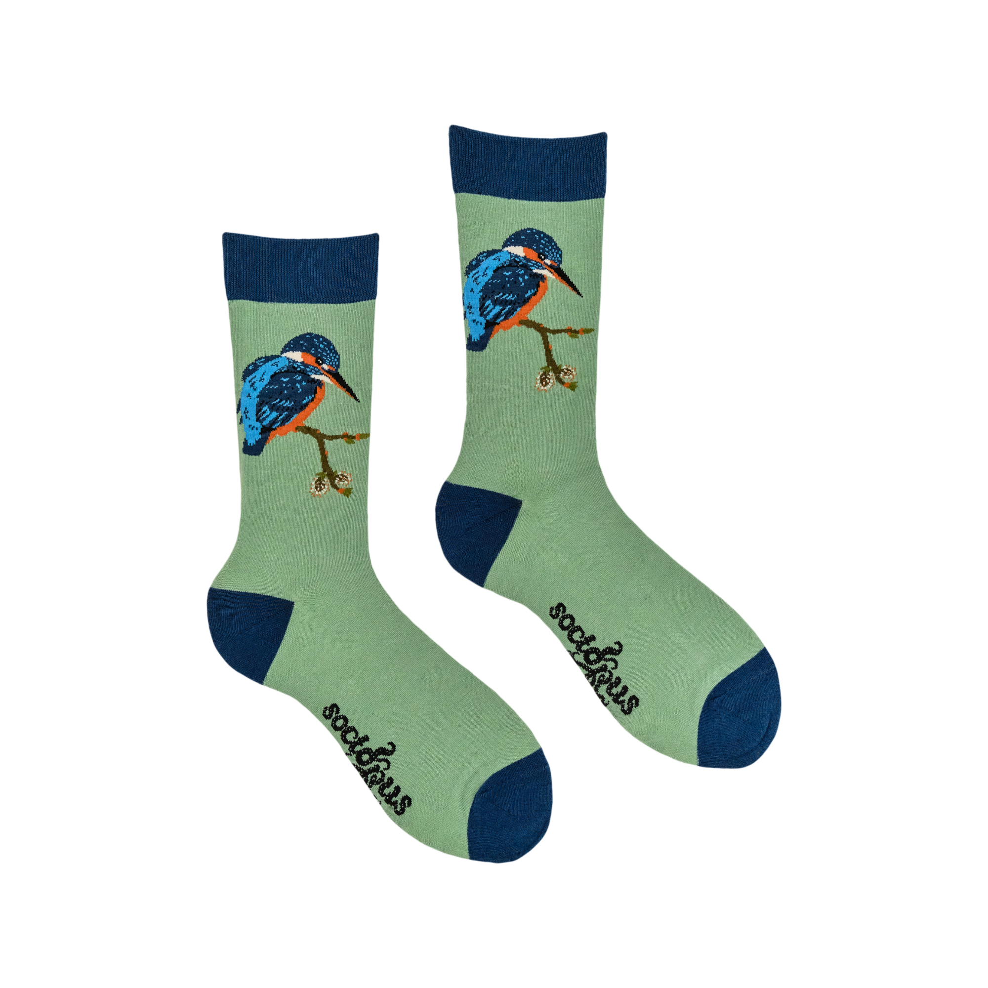 Bird Socks - Colourful Kingfisher