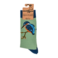 Bird Socks - Colourful Kingfisher