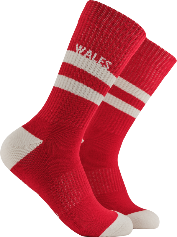 Wales Retro Sports Athletic Mini Socks