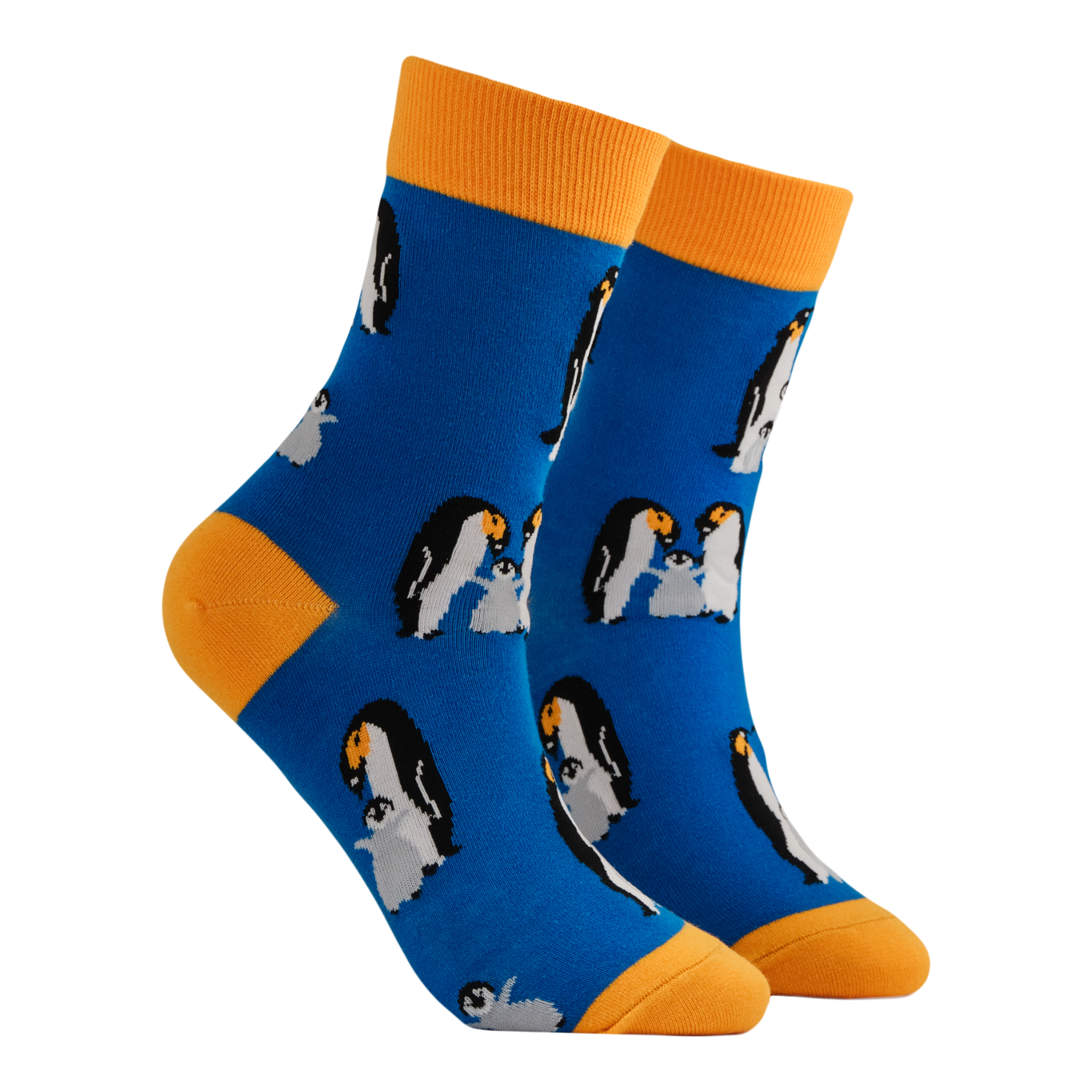 We Are Family Mini Socks