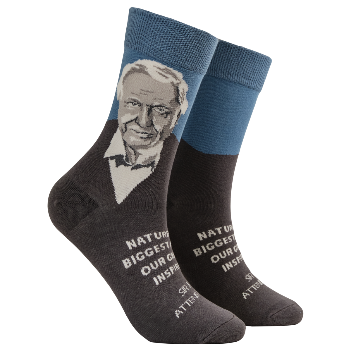 David Attenborough Mini Socks