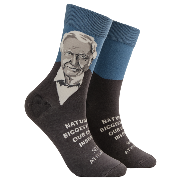 David Attenborough Mini Socks