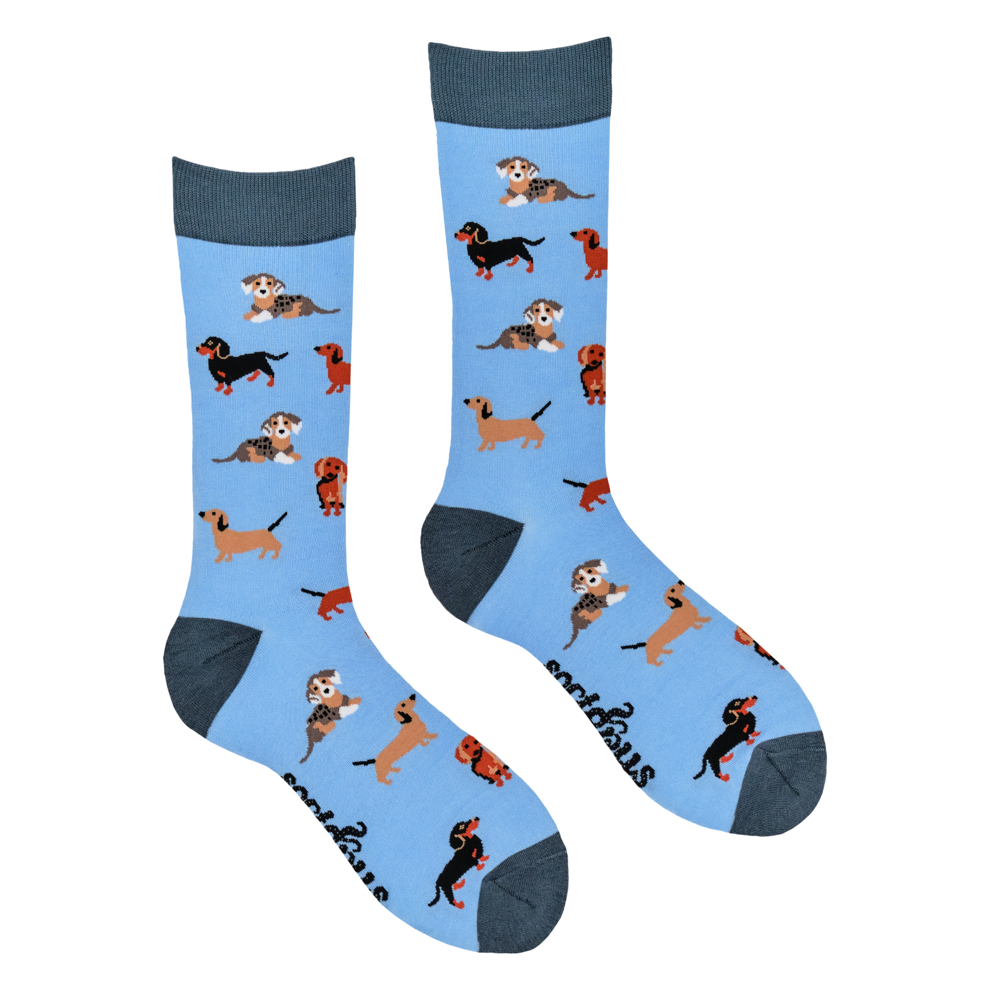 Sausage Dog Socks - Dasching Around 2