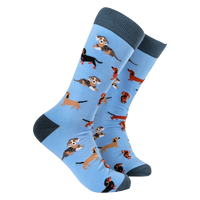 Sausage Dog Socks - Dasching Around 2
