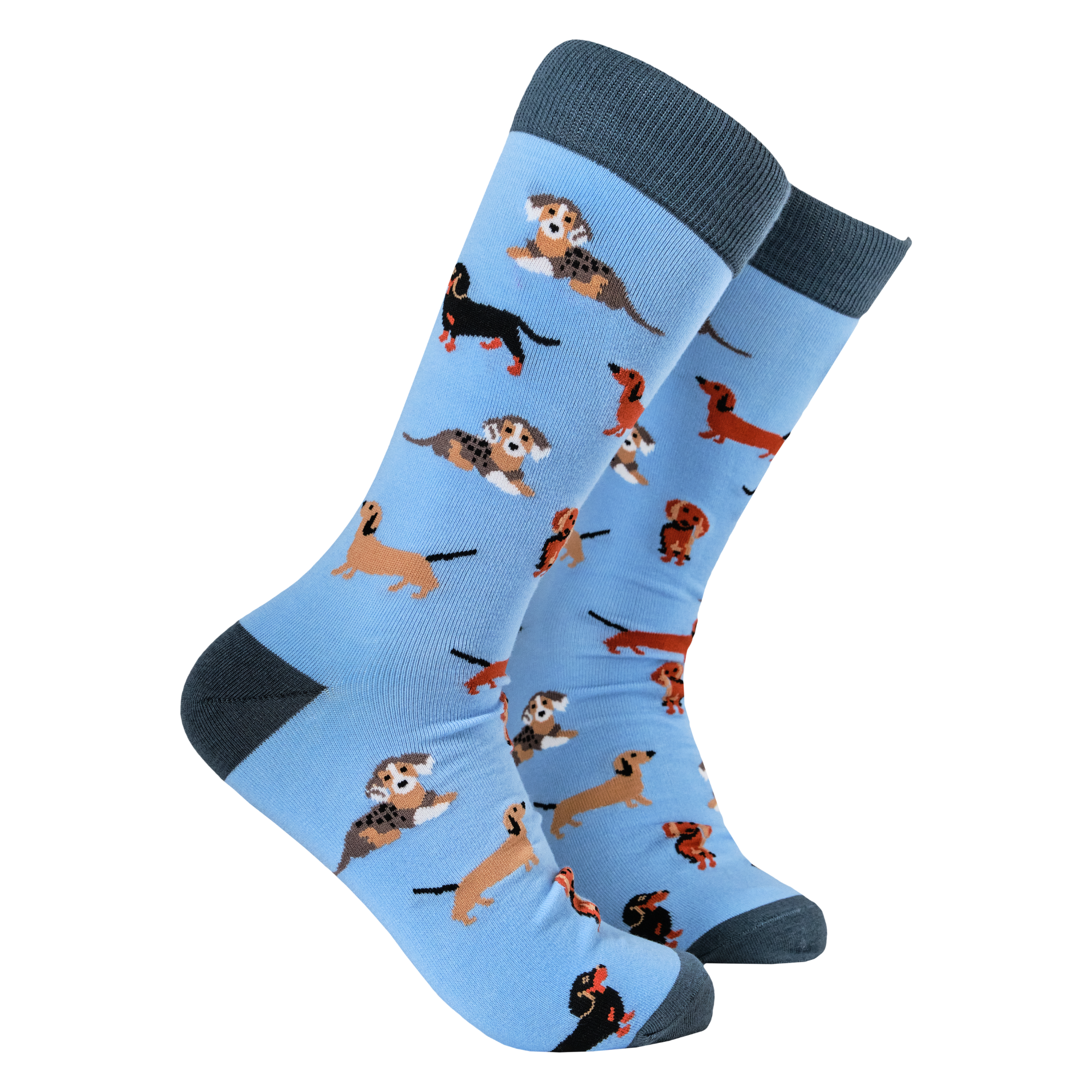 Sausage Dog Socks - Dasching Around 2
