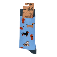 Sausage Dog Socks - Dasching Around 2