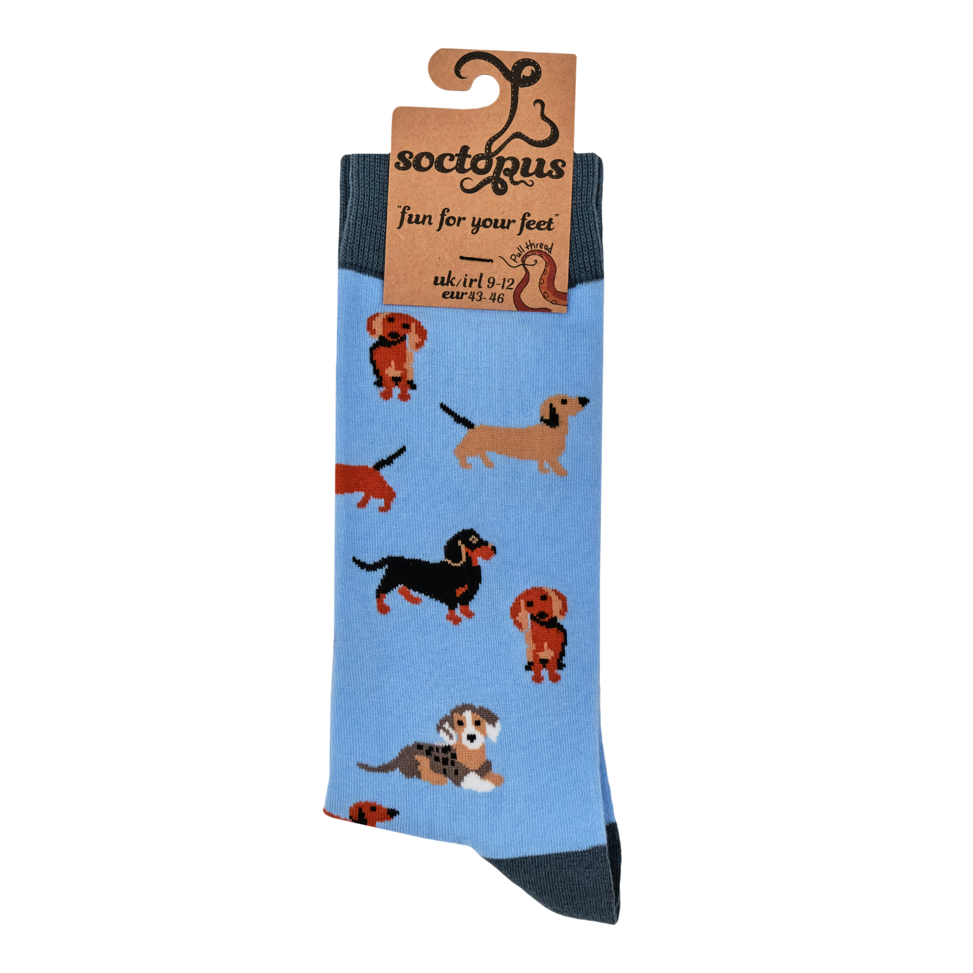 Sausage Dog Socks - Dasching Around 2