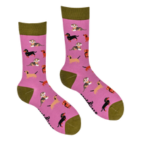 Sausage Dog Socks - Dasching Around 2