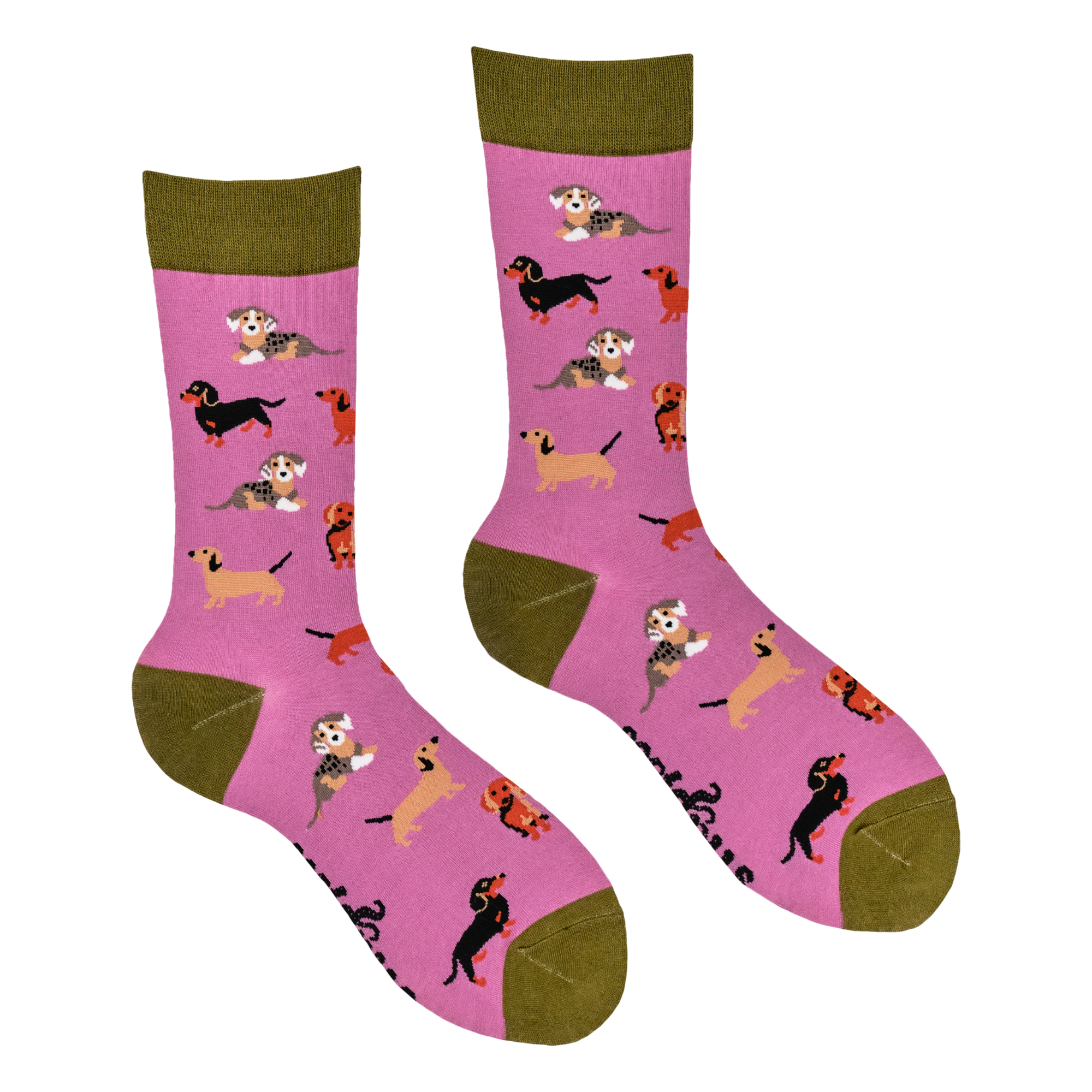 Sausage Dog Socks - Dasching Around 2