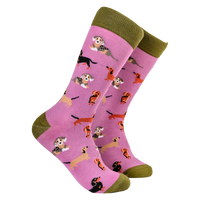 Sausage Dog Socks - Dasching Around 2