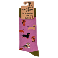 Sausage Dog Socks - Dasching Around 2