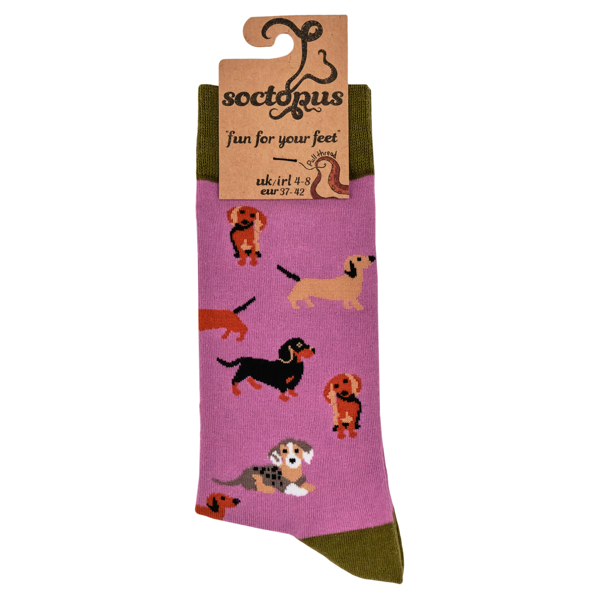 Sausage Dog Socks - Dasching Around 2
