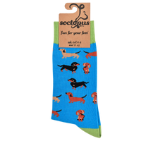 Sausage Dog Socks - Dasching Around