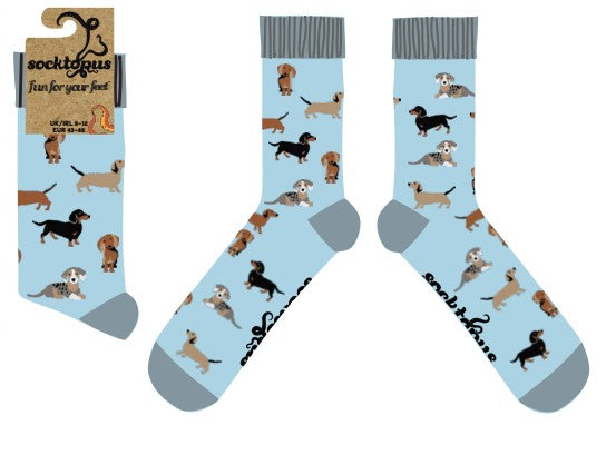 Sausage Dog Socks - Dasching Around 2