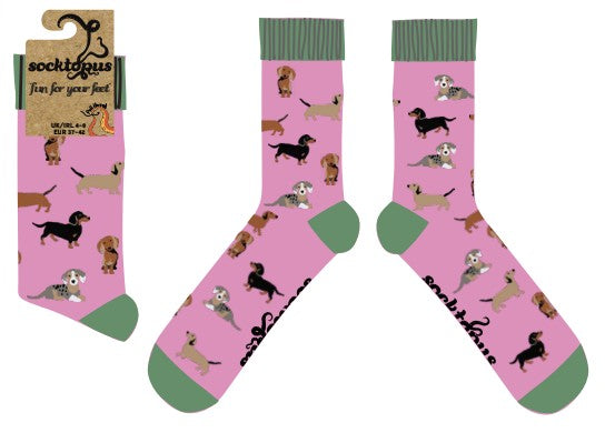 Sausage Dog Socks - Dasching Around 2