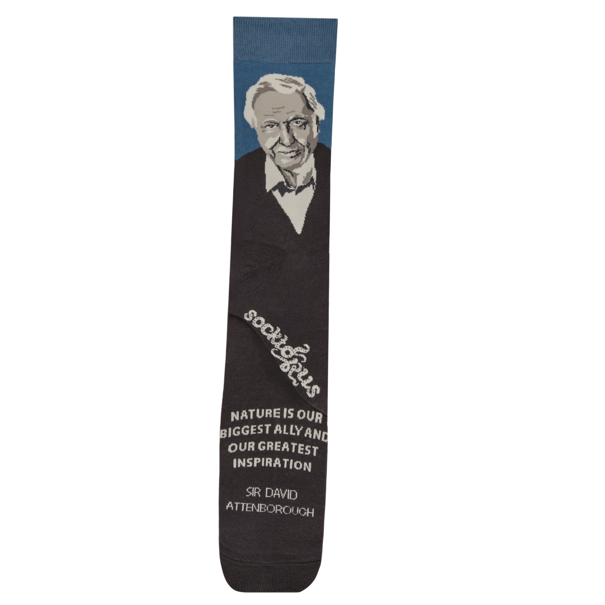 David Attenborough Socks