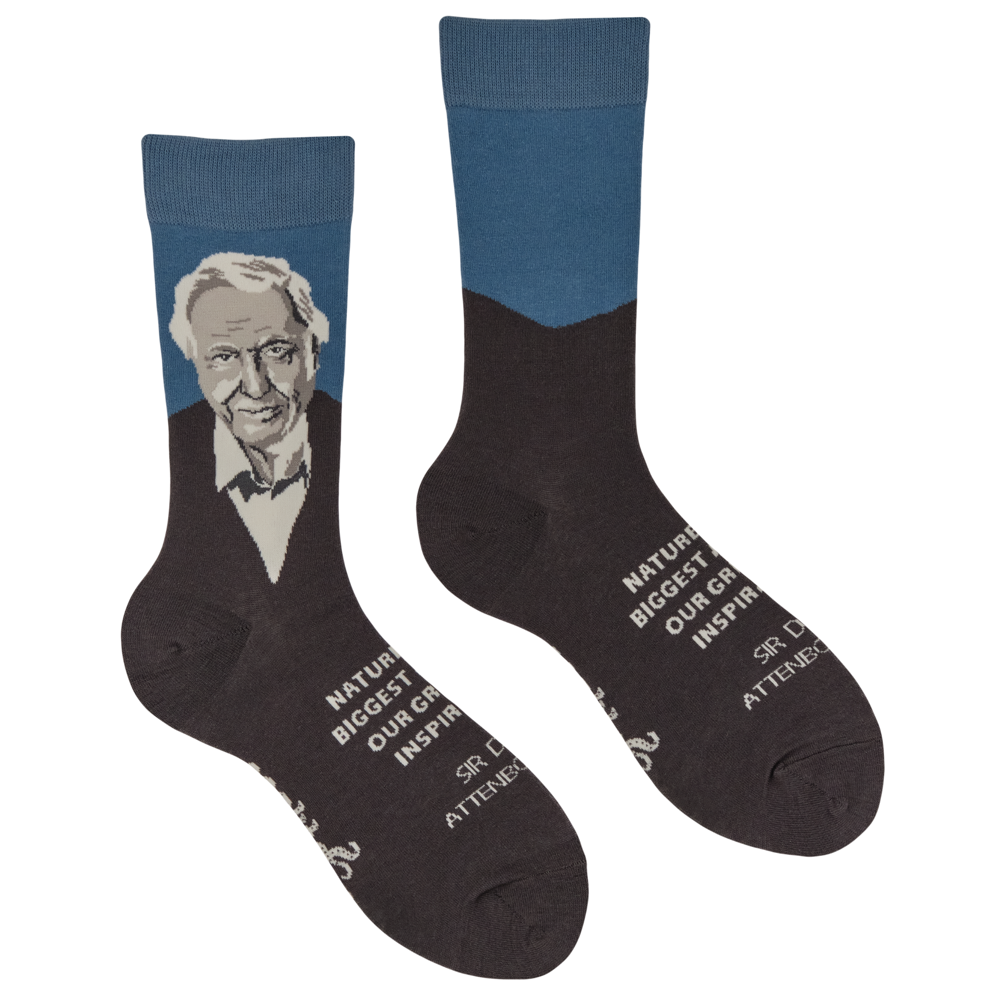 David Attenborough Socks