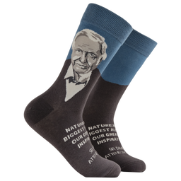 David Attenborough Mini Socks