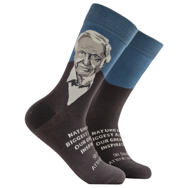 David Attenborough Mini Socks